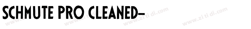 schmute pro cleaned字体转换 schmute pro cleaned字体转换